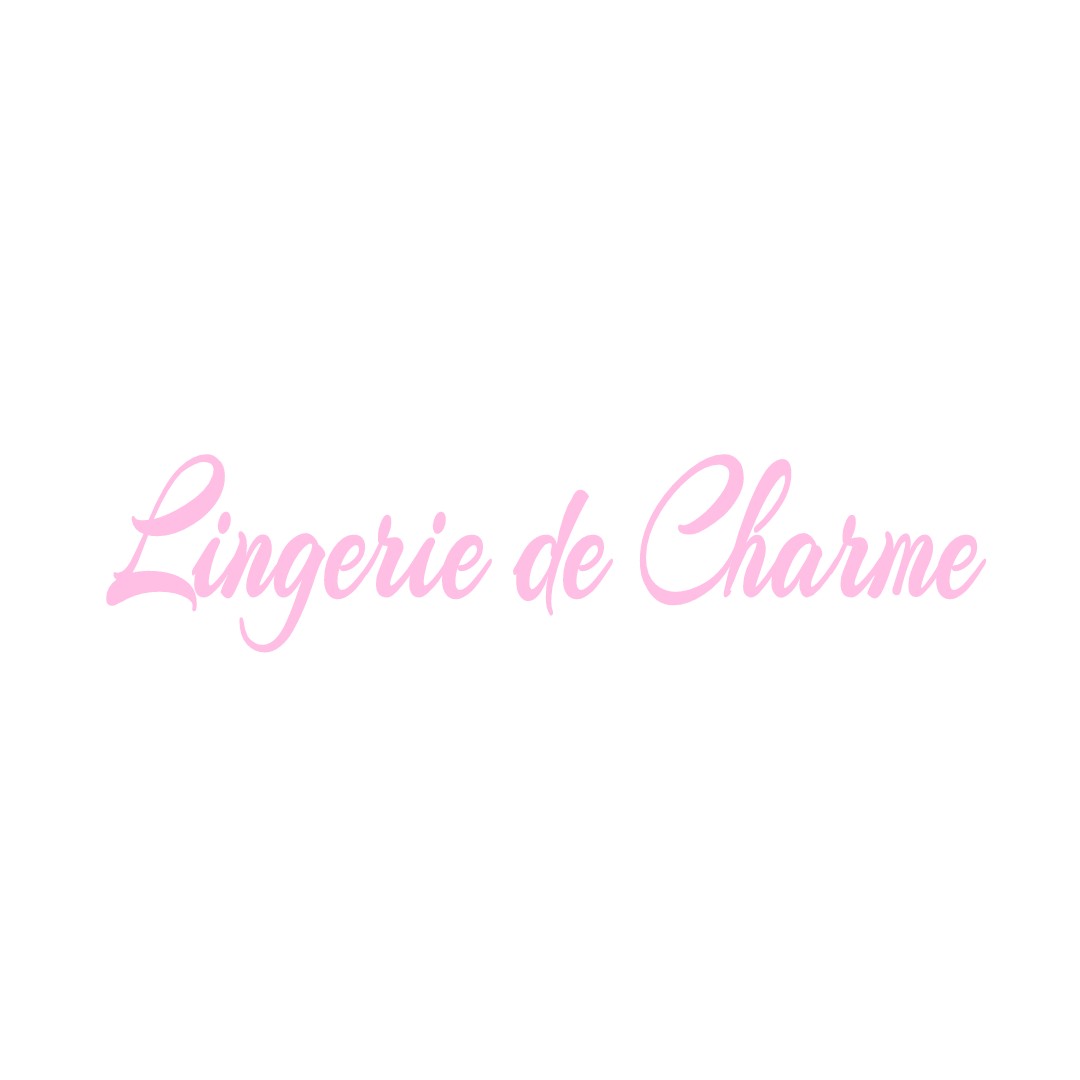 LINGERIE DE CHARME FAYE-LA-VINEUSE